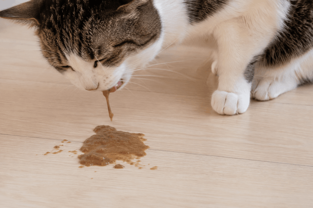 猫 吐く 茶色 ペースト
