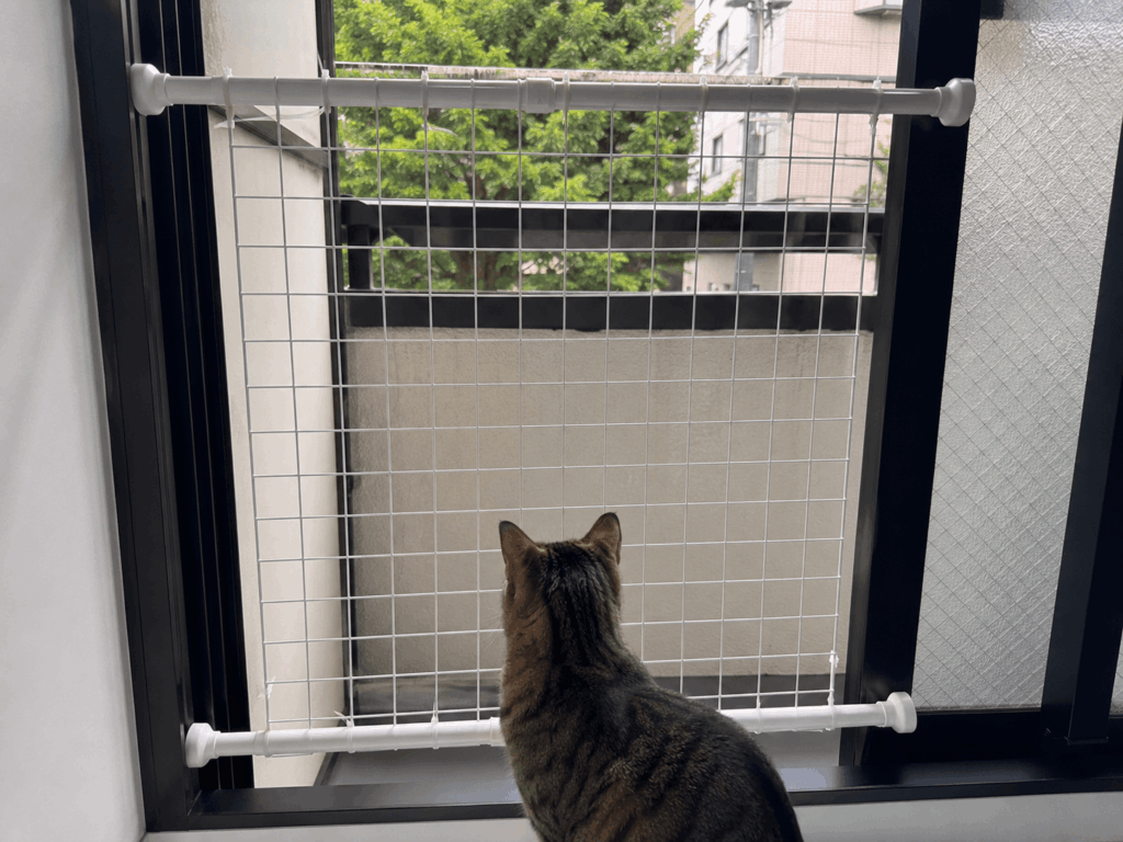 猫 脱走DIY