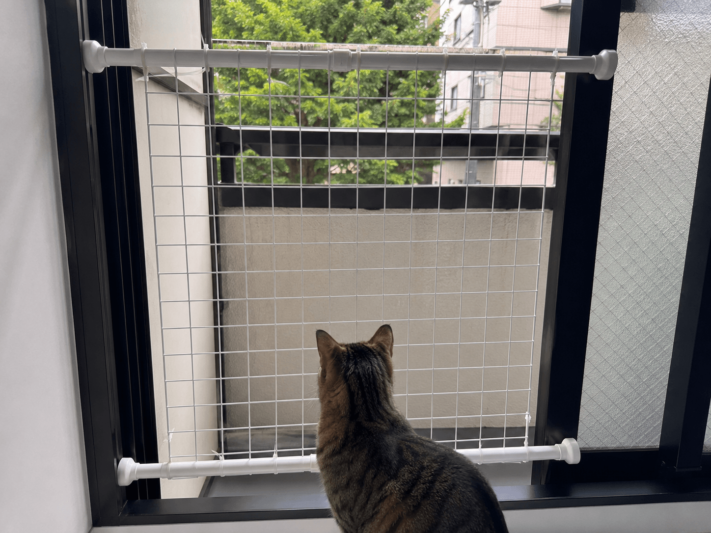 猫 脱走DIY