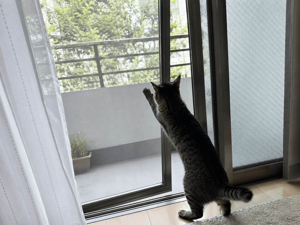 猫 賃貸 ベランダ 脱走