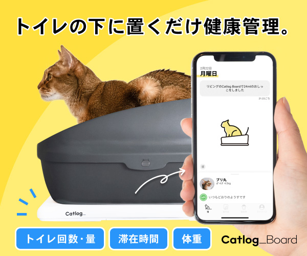 キャットログボード