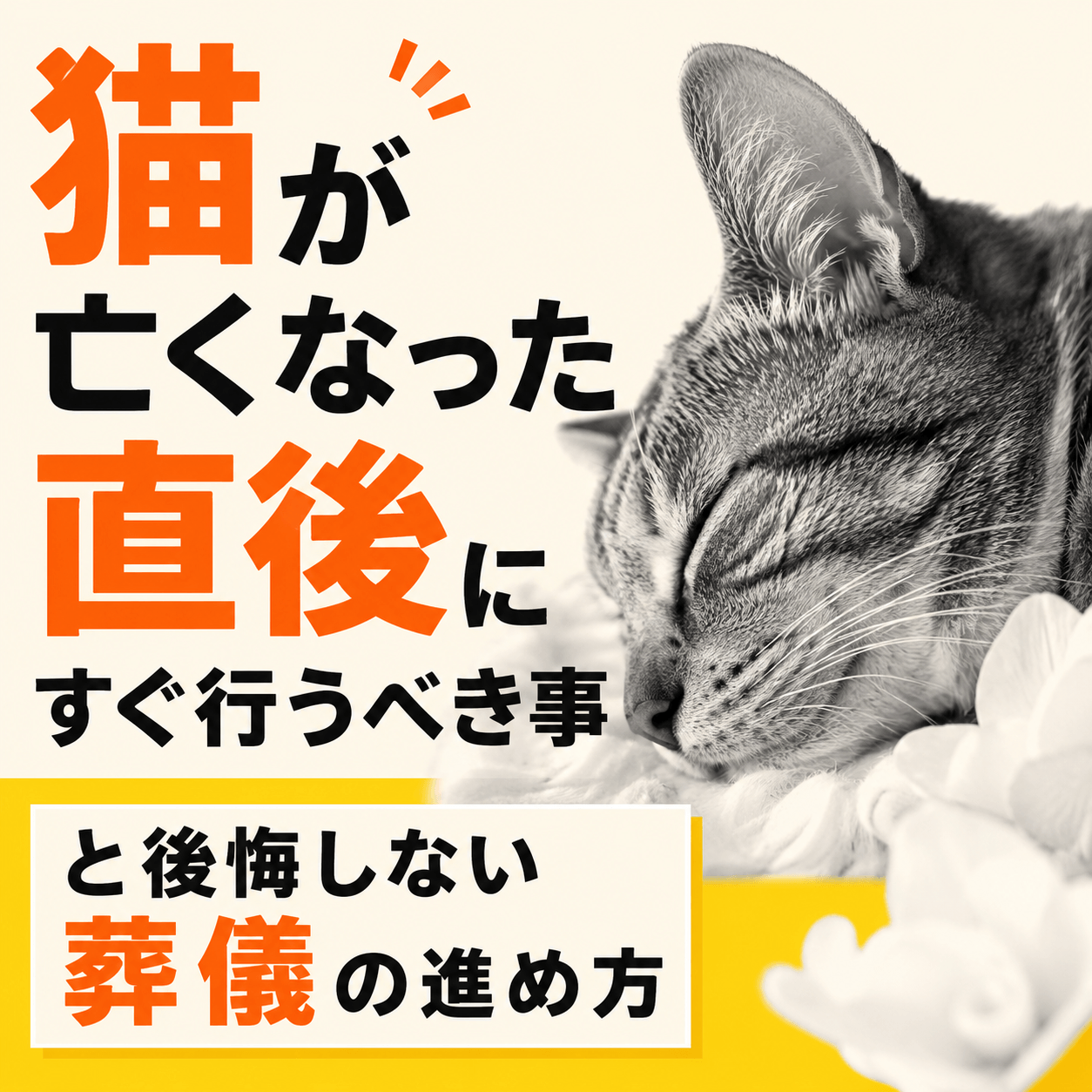 猫 亡くなる 葬儀