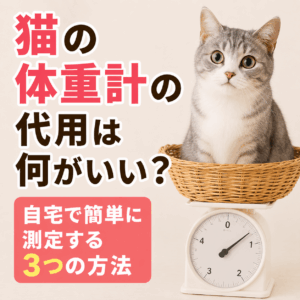猫 体重計 代用