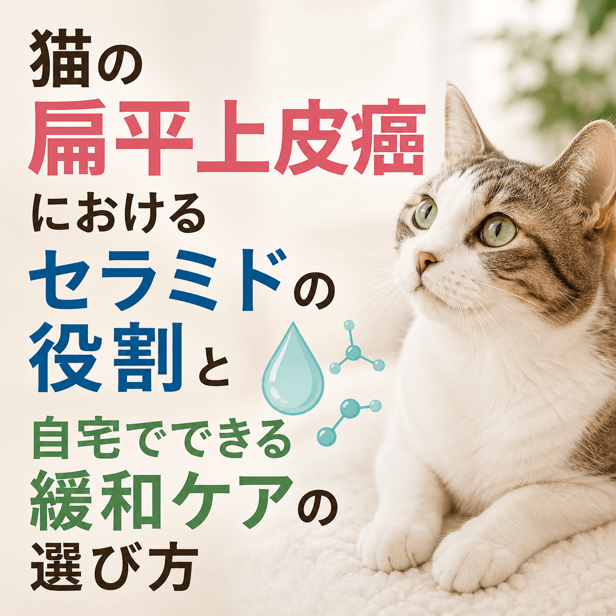 猫 扁平上皮癌 セラミド