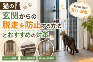猫 玄関脱走対策