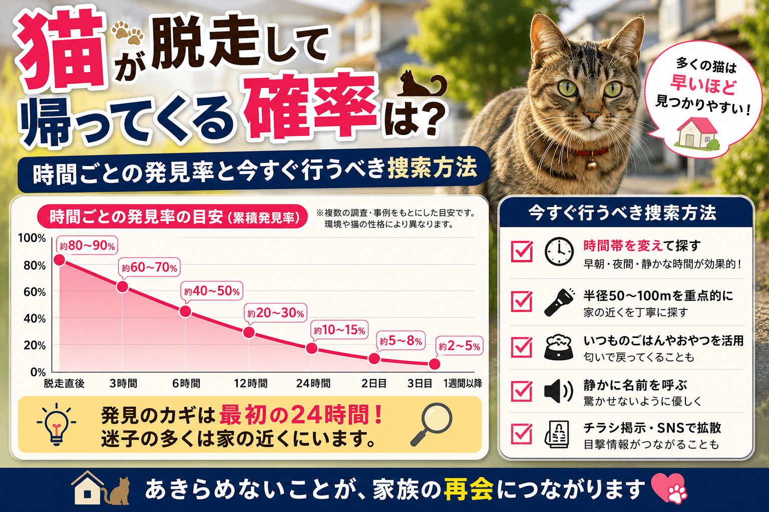 猫 脱走 帰ってくる確率