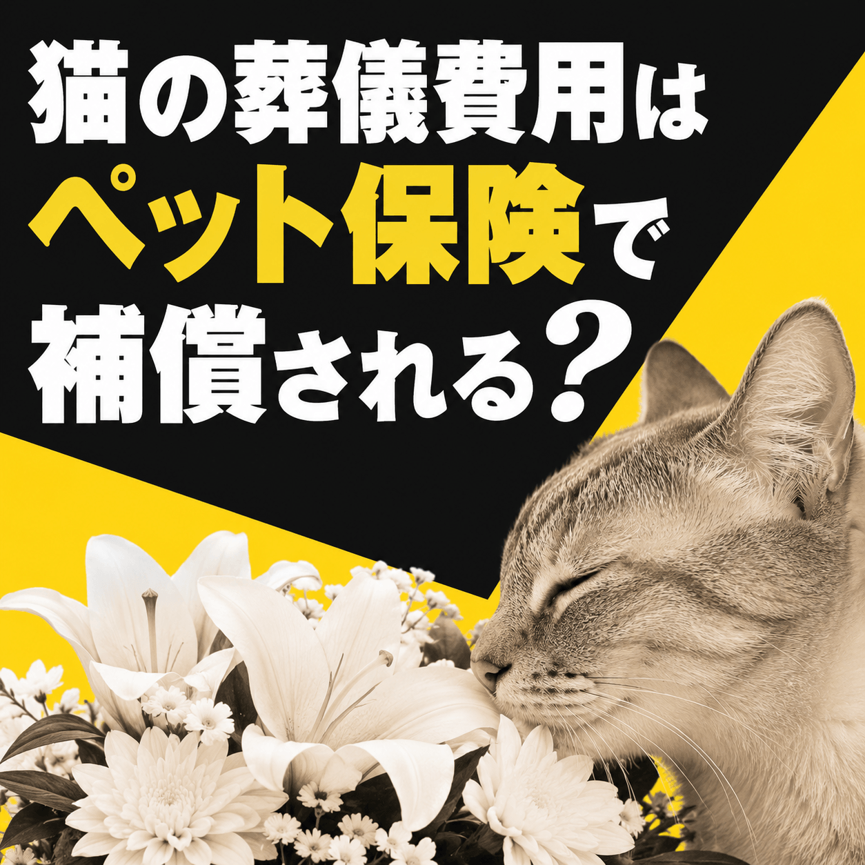 猫 葬儀 保険