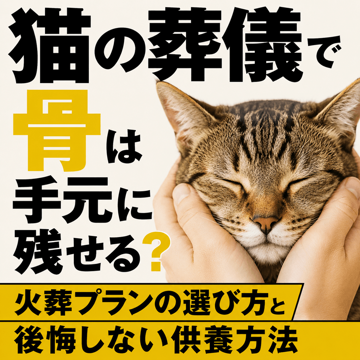猫 葬儀 骨