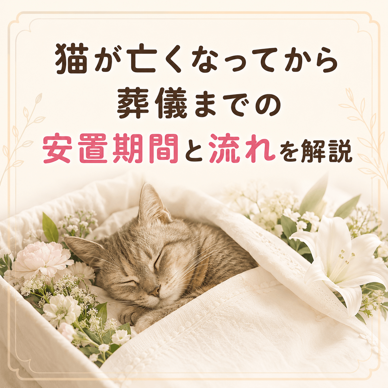 猫 葬儀まで