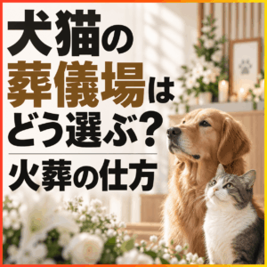 犬猫 葬儀場